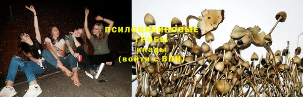 ECSTASY Алексин