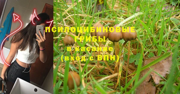 не бодяженный Алзамай